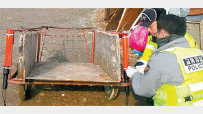 폐지수집 노인 수레에 경광등 설치