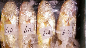 짝퉁 조기 ‘부세’ 중국인들에게 인기