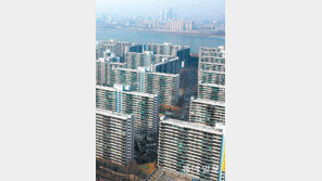 불안감 커진 강남 재건축 “정부 계산 못믿겠다”