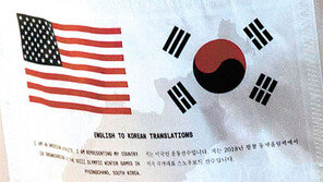 태극기 품고 오는 클로이 김-숀 화이트