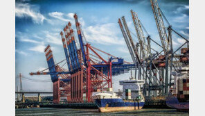 트럼프, ‘수입 세탁기 세이프가드 발동’ 초강수…국내업계 발 동동