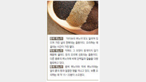 [헬스 동아]육류 위주 식단이 부르는 ‘혈액독’… 완전식품 ‘퀴노아’로 예방