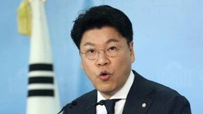 靑 “평양 올림픽 딱지 이해 안가”…野 “왜 그런 논란 있는지 반성부터” 