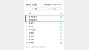 ‘평화올림픽’vs‘평양올림픽’…진보·보수 온라인 ‘실검 전쟁’