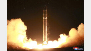 美 CIA 국장 “김정은 핵 개발 목적은 美 타격과 한반도 통일”