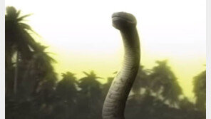 [대박! 이거 봤어?] “사라져서 고마워” 생큐! 멸종동물들