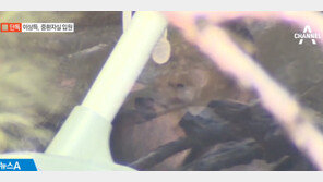 ‘MB형’ 이상득, 의식 잃고 중환자실 입원…“들것에 실려 가더라도 檢 출석할 것”