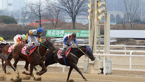 새해 첫 대상경주 주인공은
