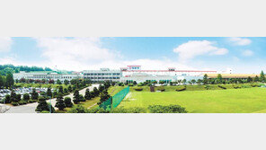 [동아일보 지령3만호/KGC인삼공사]바르는 홍삼 ‘동인비’ 주력… 체험형 로드숍도 연다