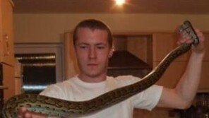 애완용 뱀에 목졸려 질식사…집에서 뭔 뱀을 길렀기에?