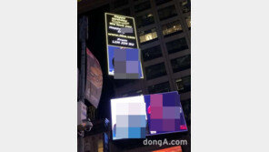 일베 회원, 美타임스퀘어에 盧 전 대통령 희화화 광고 ‘논란’