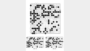 [바둑]알파고 vs 알파고 특선보… 이기면 좋고 져도 상관없는 패