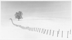 어머니에 대한 간절한 그리움, 흑백의 진중함으로…김명옥의 ‘하얀 그리움’展