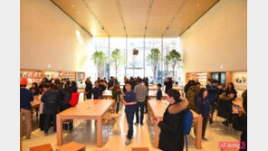 500번째 스토어 '애플 가로수길', 애플이 사용자와 대화하는 방법