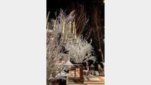 북유럽 스타일로 힐링하기, ‘르 메르디앙 익스피리언스 2’