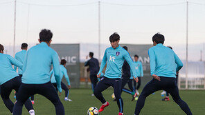 독일~스웨덴~멕시코, 착착 완성시킨 월드컵 본선 플랜