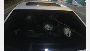 고속도 승용차 덮친 ‘죽음의 철판’ 날벼락