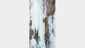 [Feeling]영하 20도 여기는 ‘핫’하다