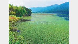 [2018한국소비자 평가 최고의 브랜드 대상]국내 최고 생물권 보전지역 “자연과 공존 꿈꾼다”
