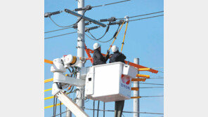 [공기업 감동경영]“배전공사 ‘스마트스틱’ 공법 현장 적용은 아직 갈 길 멀어”