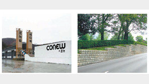 [기업&CEO]원가 50% 절감… 친환경 중력식 경관옹벽 ‘코뉴락’ 개발