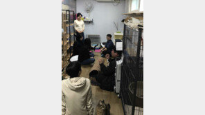 “생생한 수의료 현장 체험 뜻깊다”