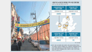 강북으로 몰리는 돈 돈… 다세대-빌라 시세 급등