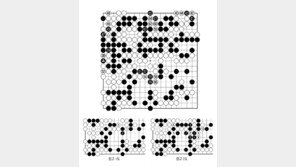 [바둑]알파고 vs 알파고 특선보… 못 말리는 낙관 모드