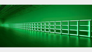 ‘필’대로 맛보면 된다…‘댄 플래빈, 위대한 빛’ 展