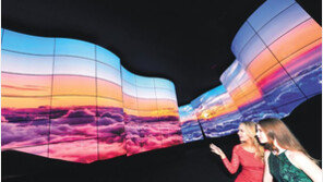 [3만달러 시대, 기업이 연다]올해 19조원 투자해 OLED 등 주력 사업 경쟁력 강화