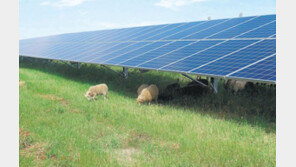 [3만달러 시대, 기업이 연다]직원 업무 효율성 위해 유연근무제도 전격 실시