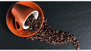 [글로벌 이슈/박민우]‘집’ 나갔던 커피가 아프리카로 돌아왔다