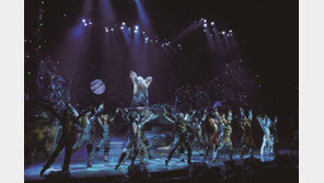 뮤지컬 ‘캣츠’, 2~3층 관객에게만 보이는 ‘특별 무대’ 있다?