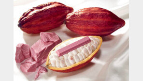 킷캣 쇼콜라토리, 발렌타인데이 패키지 사전예약 판매