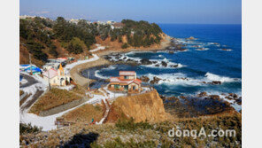   [설 연휴 가볼만한 곳]낭만 싣고 달리는 국내 기차여행