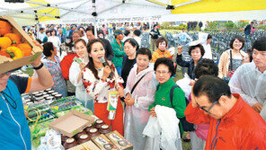 전남도 ‘억대 부농’ 크게 늘었다
