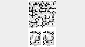 [바둑]알파고 vs 알파고 특선보…더 이상 버틸 수 없다