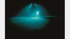 영국인들이 가장 많이 시청한 프로그램, 드라마도 리얼리티도 아닌 ‘이것’