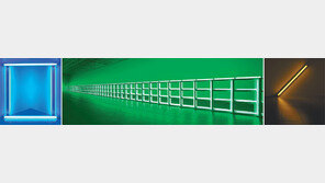 당혹과 매혹 사이… 형광등이 빚은 빛의 제국