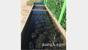 농어촌公, 수질정화 신기술 농축산부 인증 획득… 해외 진출 추진