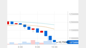 “가상화폐 정부 발표” 보나마나 규제강화?…가상화폐 시세 ‘뚝뚝’