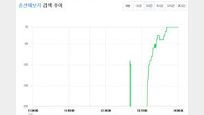 “‘총선때보자’ 실검 가즈아” 가상화폐 카페 글 등록 20분 만에 ‘실검 1위’
