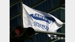 삼성전자 ‘황제주’서 ‘국민주’로