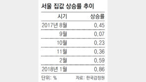 1월 서울 집값 9년만에 최대폭 올라… 지방은 두달째 내려