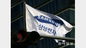 전문가 “삼성전자 주식 액면분할, 주주친화정책…작년 만큼 오르진 않을것”