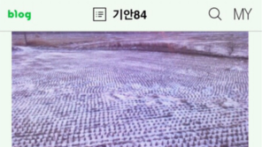 “여자가 실종되는 도시”…기안84, 이름 뜻에 누리꾼 ‘폭발’