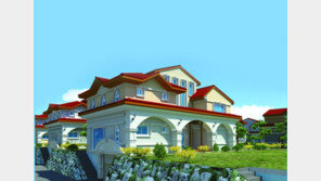 [화제의 분양현장]미군 스타일에 맞춘 평택 렌털하우스