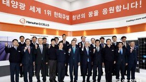 文대통령 “업어주고 싶다” 칭찬 한화큐셀…태양광 절대 강자