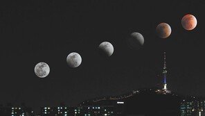 [청계천 옆 사진관]35년 만의 ‘우주쇼’가 신문에 실리기까지…