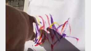 1점에 200만 원…전시회까지 연 ‘돼지 화가’ 그림, 진짜 예술 작품?